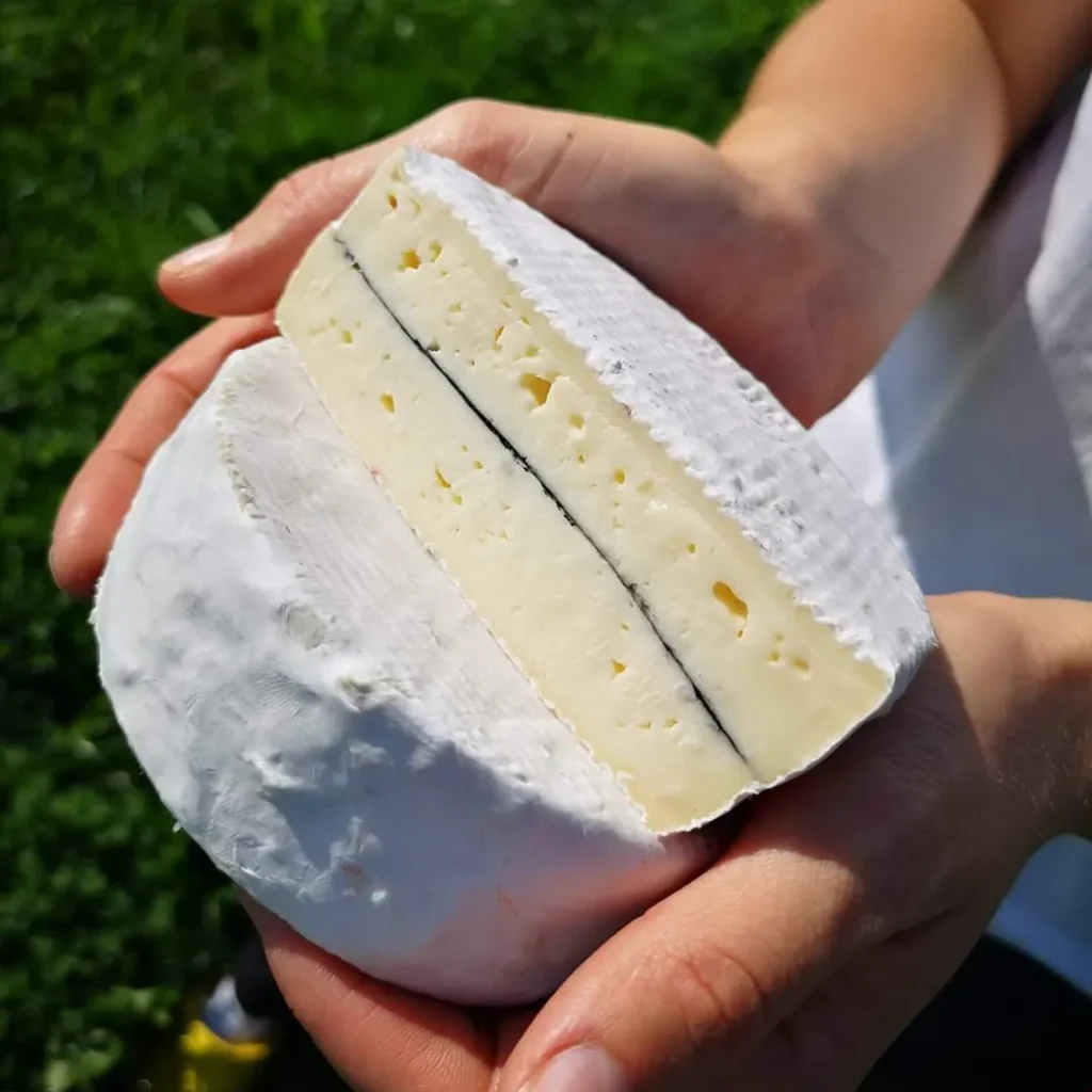 Sirarnica Rožnik_kmečki_kamembert_z_ogljem