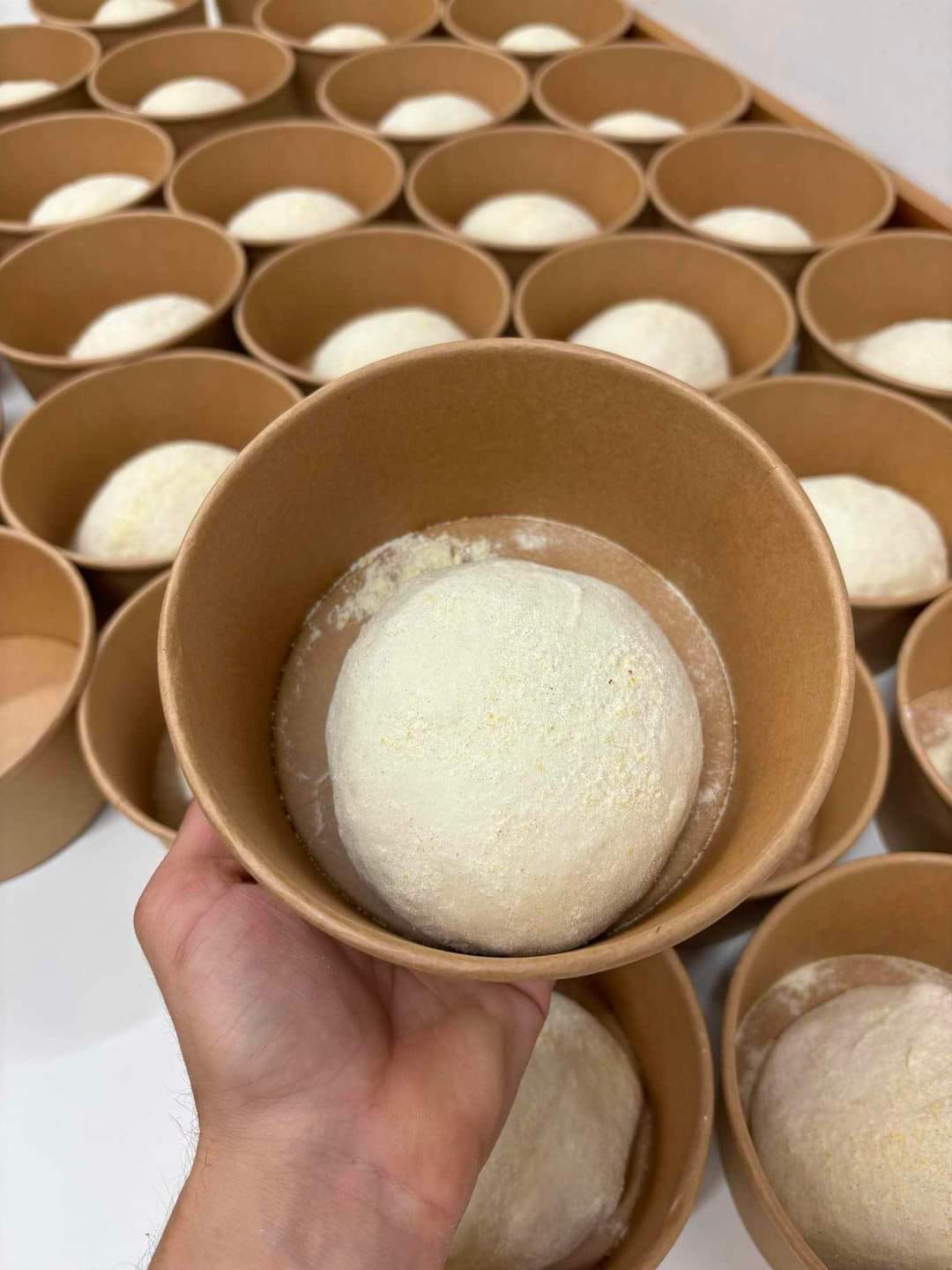Drož pizza testo iz Pekarne Androžarna.