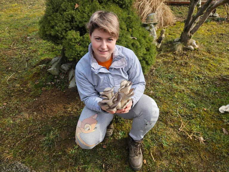 NIves iz podjetja Gobji raj s svežimi gobami.