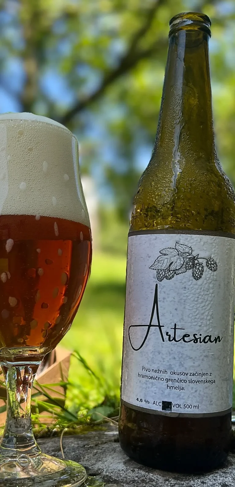 artesian pivo gregurman